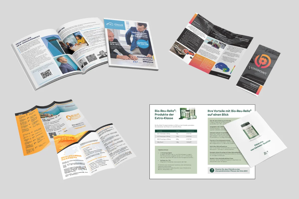 Brochure design Oradea — print collateral by Beardly Brands